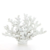 Decorative Tabletop Sculpture Coral Shell   564279900
